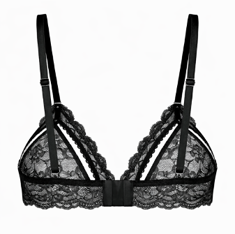 Lisa Triangle Bra – New York Edition